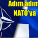 Finlandiya harekete geçti: Adım adım NATO’ya