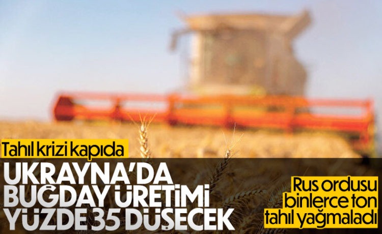Dünyada Tahıl Krizi Yolda