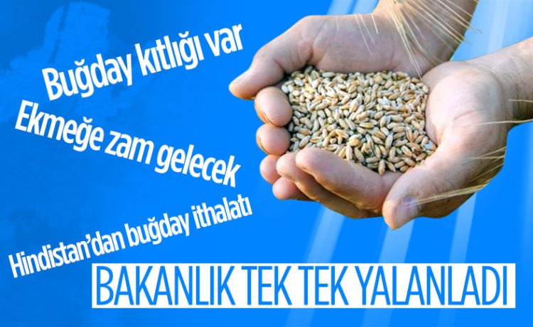 Tarım Bakanlığı’ndan ‘Hindistan’dan Buğday İthalatı’ İddiasına Yalanlama!
