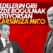 Gerçek Anketi Yapacak Olan Millettir!