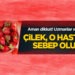 Uzmanlar ısrarla uyardı! Çilek, o hastalığa neden oluyor