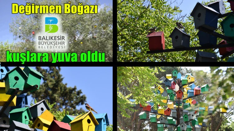 Değirmen Boğazı kuşlara yuva oldu