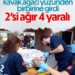 Kavak Ağacı Kavgası