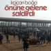 Pazarı Birbirine Kattı
