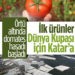 Serada Üretilen Domatesin Hasadı Başladı