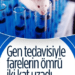 Gen tedavisiyle farelerin yaşam süresi uzadı