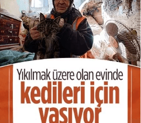 Depremin merkezindeki evi büyük hasar gören 65 yaşındaki Fatma Var, kedilerinin aç ve yalnız kalmaması için dairesinden ayrılmıyor.