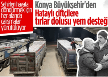 Konya Büyükşehir Belediyesi’nden Hataylı çiftçilere 10 tır yem desteği