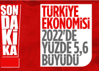 Türkiye 2022 yılında yüzde 5,6 büyüdü