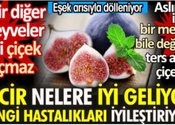 İncir nelere iyi geliyor? Hangi hastalıkları iyileştiriyor?