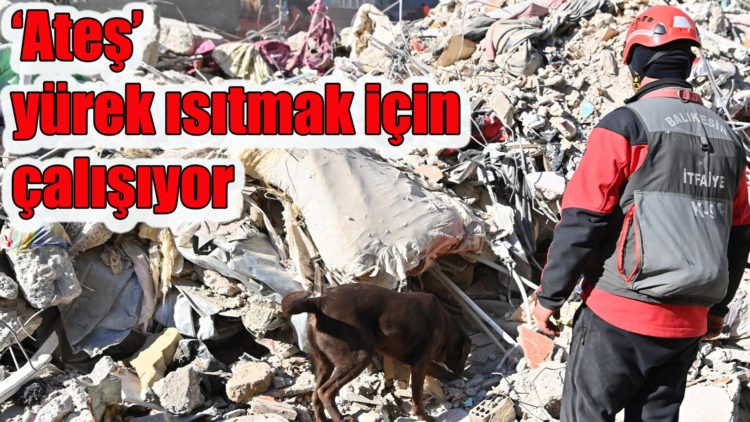 Ateş yürek ısıtmak için çalışıyor