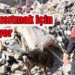 Ateş yürek ısıtmak için çalışıyor