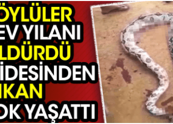 Köylüler dev yılanı öldürdü midesinden çıkan şok yaşattı