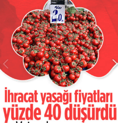 İhracat yasağının ardından domatesin fiyatı yüzde 40 düştü