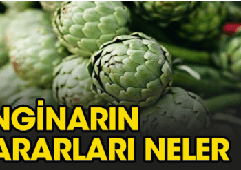 Enginarın her yeri farklı şifa sağlıyor