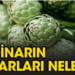 Enginarın her yeri farklı şifa sağlıyor