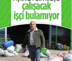 Aydın’da çalışacak işçi bulamıyor! Hamal ayda 24 bin lira kazanıyor
