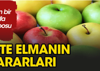 Elmanın çok az bilinen yararları nelerdir