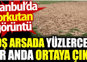Boş arsada yüzlercesi bir anda ortaya çıktı. İstanbul’da şoke eden görüntü
