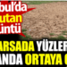 Boş arsada yüzlercesi bir anda ortaya çıktı. İstanbul’da şoke eden görüntü