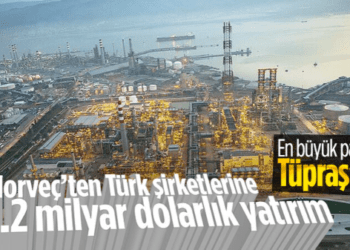 Norveç Varlık Fonu’nun Türkiye’deki şirketlere yatırımı: 1.2 milyar dolar