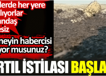Tırtıl istilası başladı. Köylerde her yere yayılıyorlar vatandaşın çaresiz