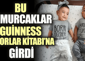 Bu yumurcaklar Guinness Rekorlar Kitabı’na girdi