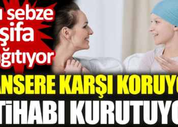 Kansere karşı koruyor. İltihabı kurutuyor. Bu sebze şifa dağıtıyor