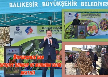 Büyükşehir’den çiftçiye hünnap ve mürdüm eriği desteği