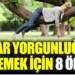 Bahar yorgunluğunu önlemek için 8 öneri