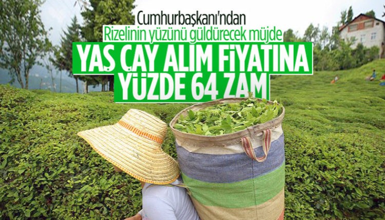 Cumhurbaşkanı Erdoğan’dan Rize’de çay üreticilerine müjde