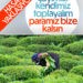 Doğu Karadeniz’de çay hasadı dönemi yaklaşıyor
