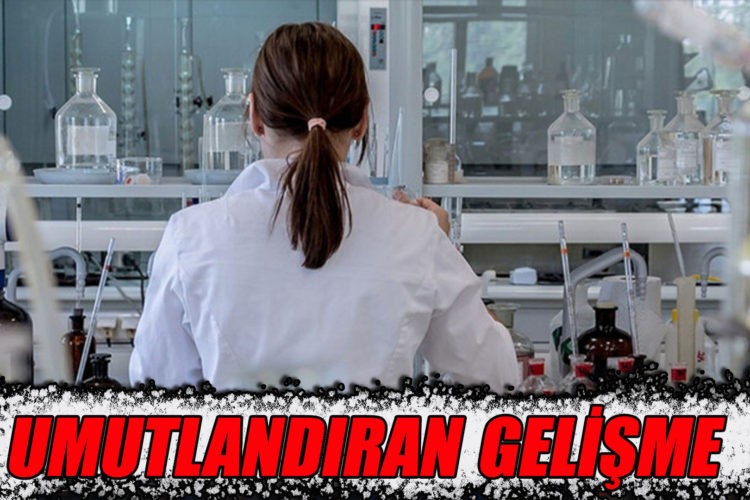 Gut ve kalp damar hastalıklarının tedavisinde umutlandıran gelişme…