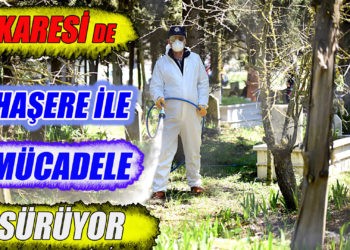 KARESİ’DE HAŞERE İLE MÜCADELE SÜRÜYOR