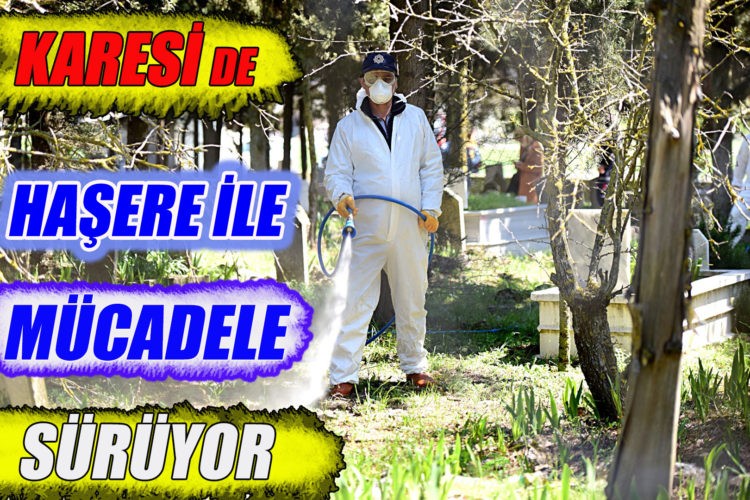 KARESİ’DE HAŞERE İLE MÜCADELE SÜRÜYOR