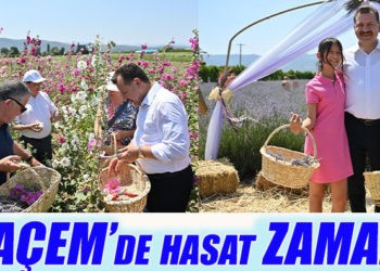  Başkan Yılmaz, aromatik bitki hasadına katıldı