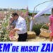  Başkan Yılmaz, aromatik bitki hasadına katıldı