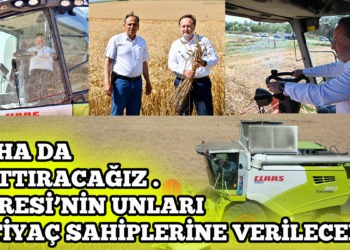 KARESİ BELEDİYESİ’NİN BUĞDAYLARI HASAT EDİLİYOR