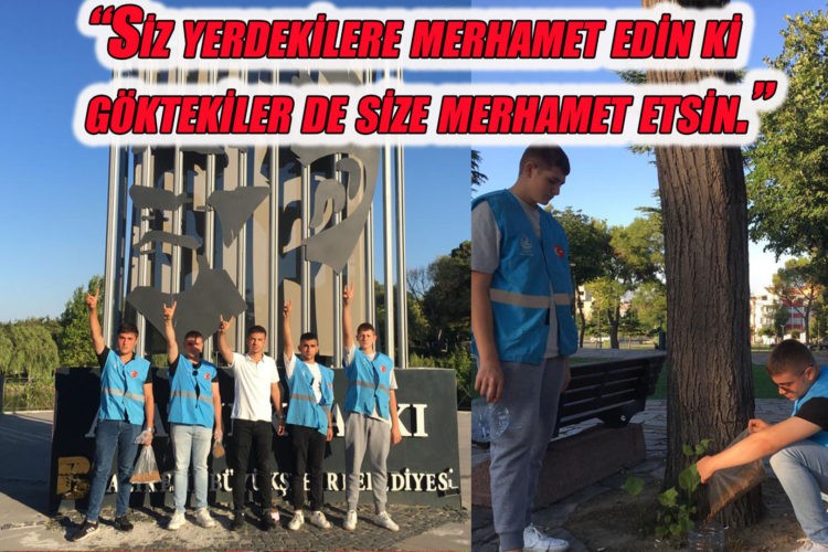 Balıkesir Ülkü Ocaklarından 50 Noktada 50 Kg Mama Dağıtımı.