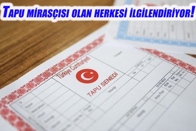 Tapu mirasçısı olan herkesi ilgilendiriyor! 