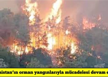 Rodos’taki yangın 6 gündür devam ediyor