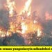 Rodos’taki yangın 6 gündür devam ediyor