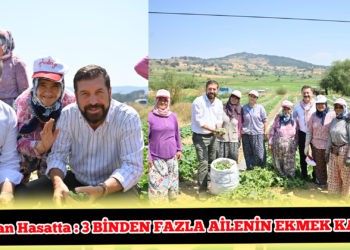 Başkan Yılmaz kornişon hasadında