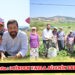 Başkan Yılmaz kornişon hasadında