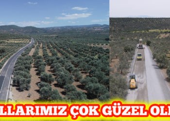 Hem zeytinlikler hem de işçiler tozdan kurtuldu