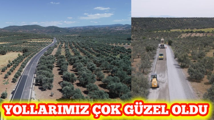 Hem zeytinlikler hem de işçiler tozdan kurtuldu