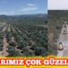 Hem zeytinlikler hem de işçiler tozdan kurtuldu