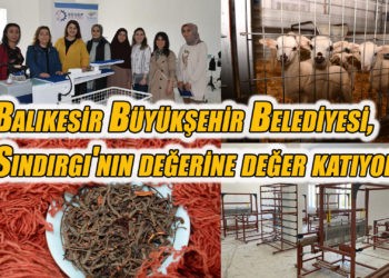 Büyükşehir, Sındırgı’da dört koldan çalışıyor
