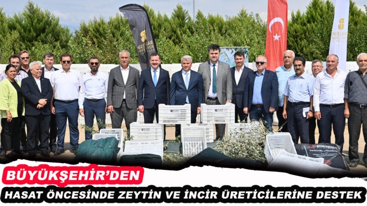 Büyükşehir den zeytin ve incir üreticilerine destek