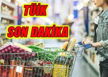 TÜİK 2023 Ağustos ayı ve yıllık enflasyon verilerini paylaştı